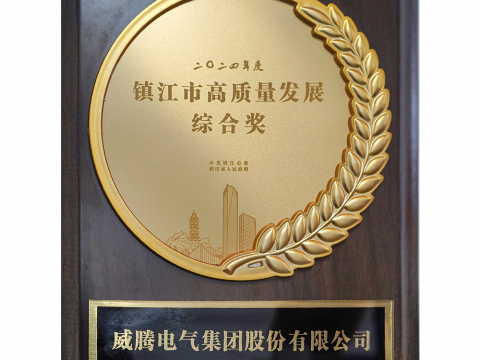 喜讯│南宫NG28官网电气集团股份有限公司荣获2024年度镇江市高质量发展综合奖