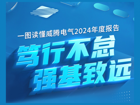 一图读懂南宫NG28官网电气2024年度报告