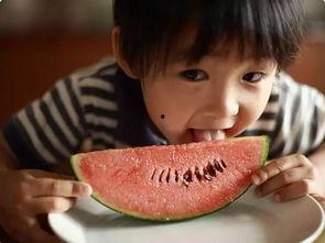 娱乐吃瓜酱一年级